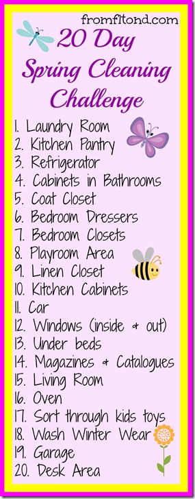 20 Day Spring Cleaning Challenge